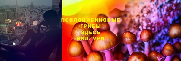 jwh Нефтегорск