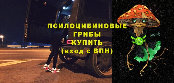 герыч Болотное