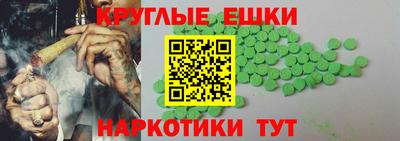 амф Гусев