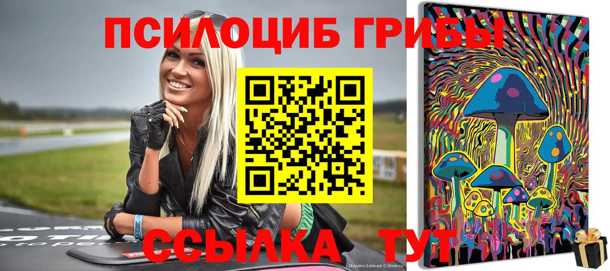 Псилоцибиновые грибы ЛСД Киров